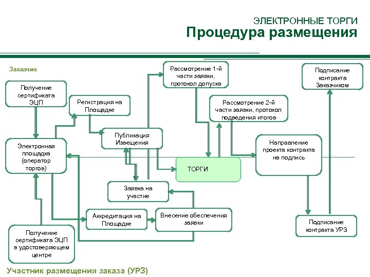 Участие в процедуре торгов. Размещение заказа путем проведения аукциона. Электронные торги схема. Аукцион в электронной форме блок схема. Поэтапный порядок размещения заявки на тендер.