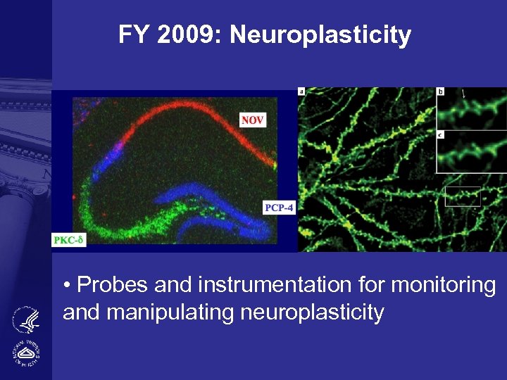 FY 2009: Neuroplasticity • Probes and instrumentation for monitoring and manipulating neuroplasticity 