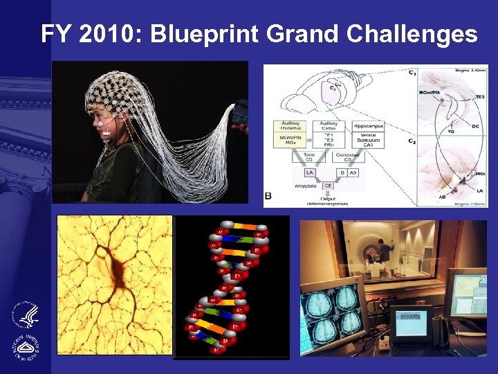 FY 2010: Blueprint Grand Challenges 