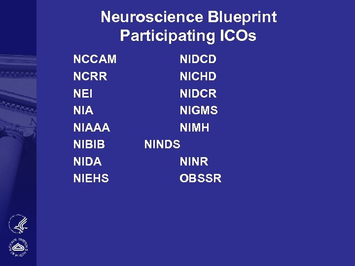 Neuroscience Blueprint Participating ICOs NCCAM NCRR NEI NIAAA NIBIB NIDA NIEHS NIDCD NICHD NIDCR