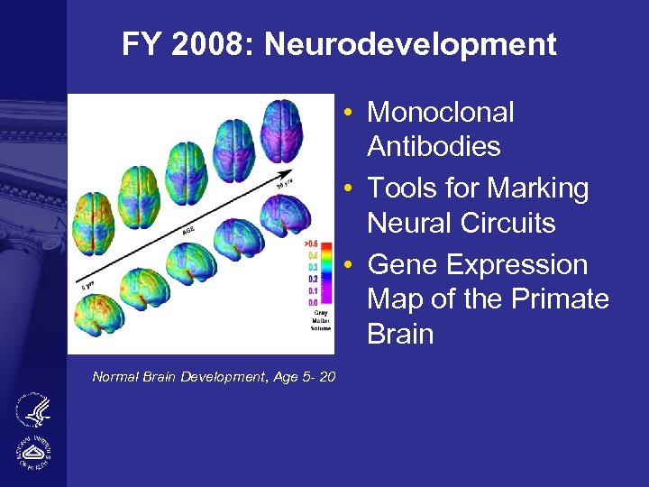 FY 2008: Neurodevelopment • Monoclonal Antibodies • Tools for Marking Neural Circuits • Gene
