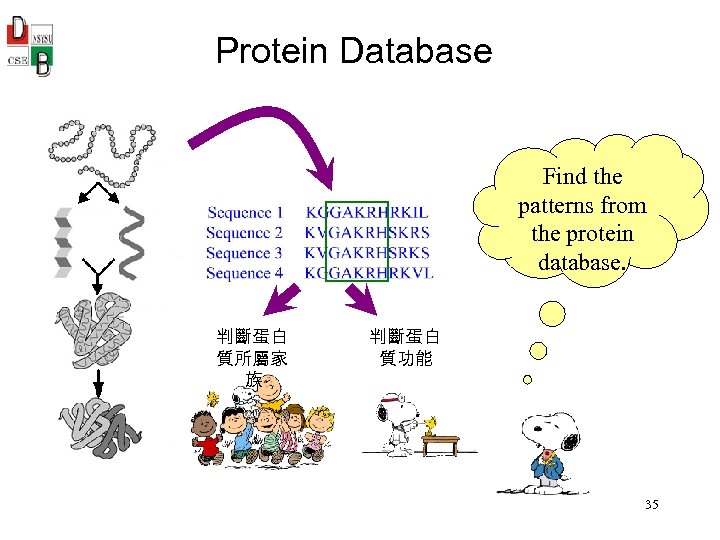 Protein Database Find the patterns from the protein database. 判斷蛋白 質所屬家 族 判斷蛋白 質功能