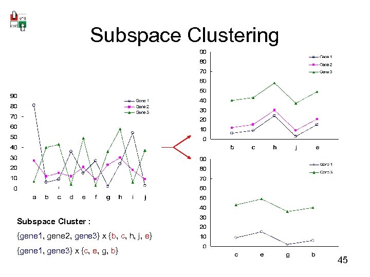 Subspace Clustering Subspace Cluster : {gene 1, gene 2, gene 3} x {b, c,