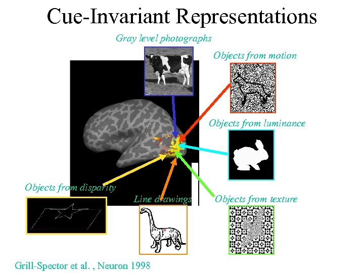 Cue-Invariant Representations Gray level photographs Objects from motion Objects from luminance Objects from disparity