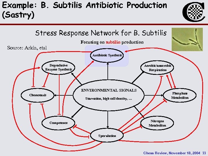 Example: B. Subtilis Antibiotic Production (Sastry) Stress Response Network for B. Subtilis Focusing on