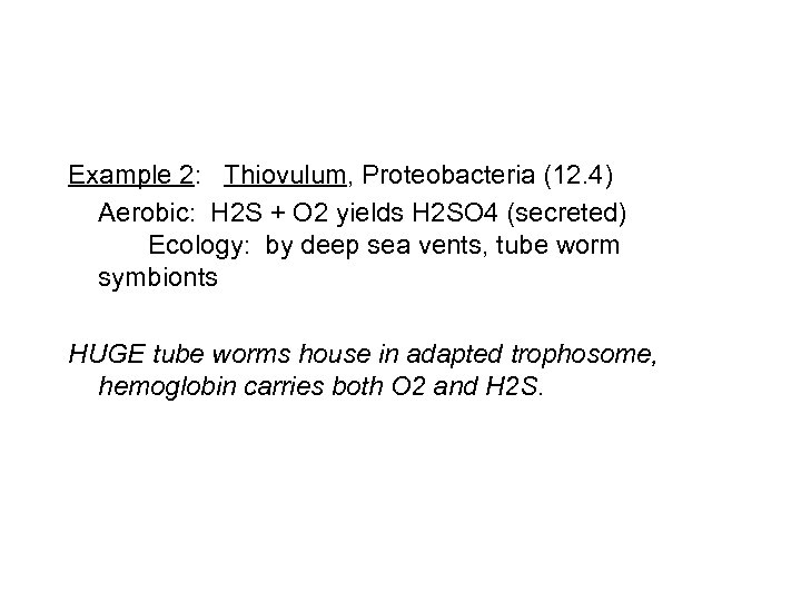 Example 2: Thiovulum, Proteobacteria (12. 4) Aerobic: H 2 S + O 2 yields