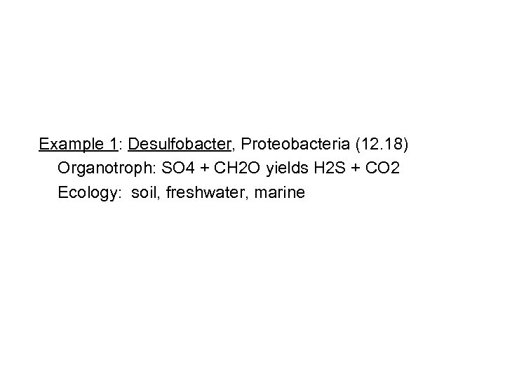 Example 1: Desulfobacter, Proteobacteria (12. 18) Organotroph: SO 4 + CH 2 O yields