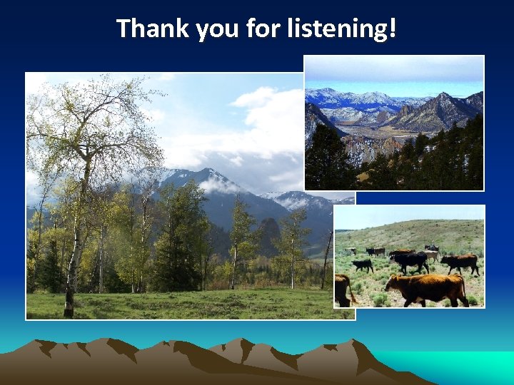 Thank you for listening! 