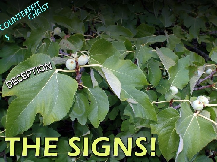 EIT IST RF HR TE C N OU C S 