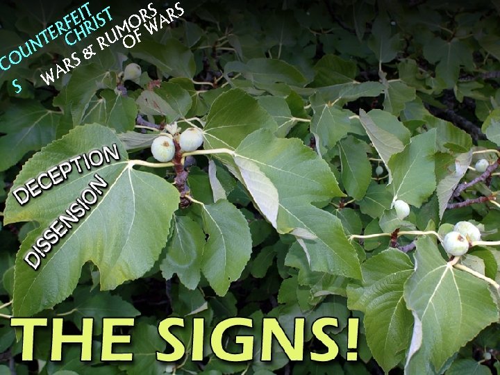 IT S T RS ARS E RF HRI MO W TE C RU OF