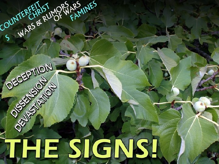 IT S T RS ARS INES E RF HRI MO W M TE C