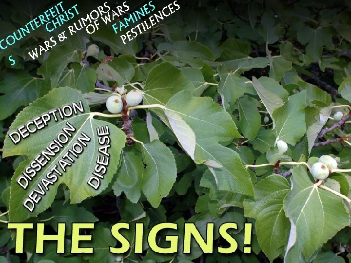 IT S T RS ARS INES CES E RF HRI MO W M LEN