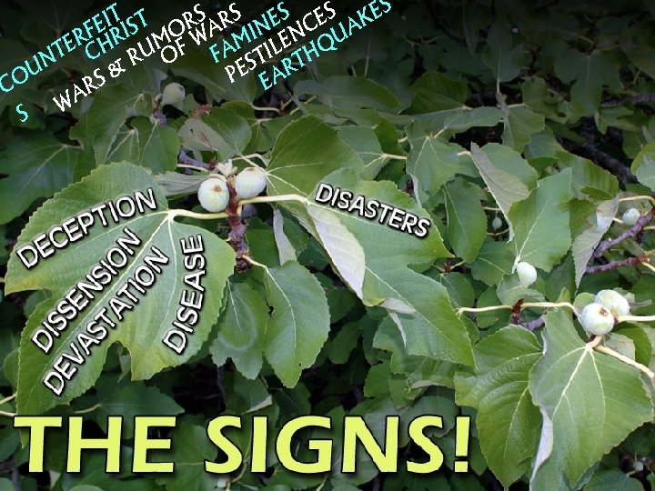 S RS ES ES KES T T I FE RIS MORWA MIN ENC UA