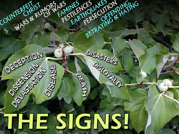 S RS ES ES KES ON NG, G T T I FE RIS MORWA