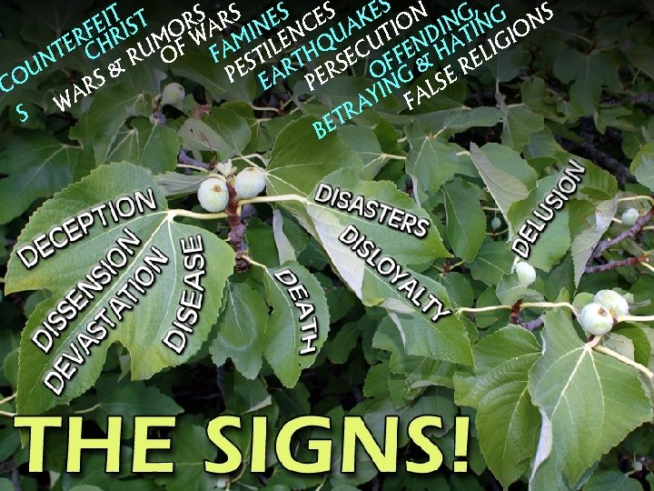 S RS ES ES KES ON NG, G NS T T I FE RIS