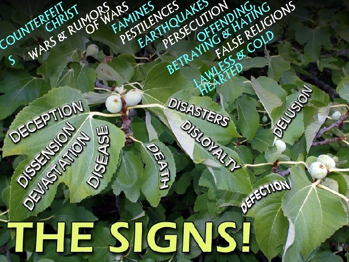 S RS ES ES KES ON NG, G NS T T I FE RIS