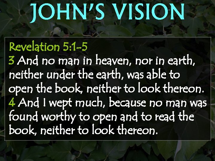JOHN’S VISION Revelation 5: 1 -5 3 And no man in heaven, nor in