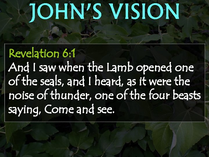 JOHN’S VISION Revelation 6: 1 And I saw when the Lamb opened one of