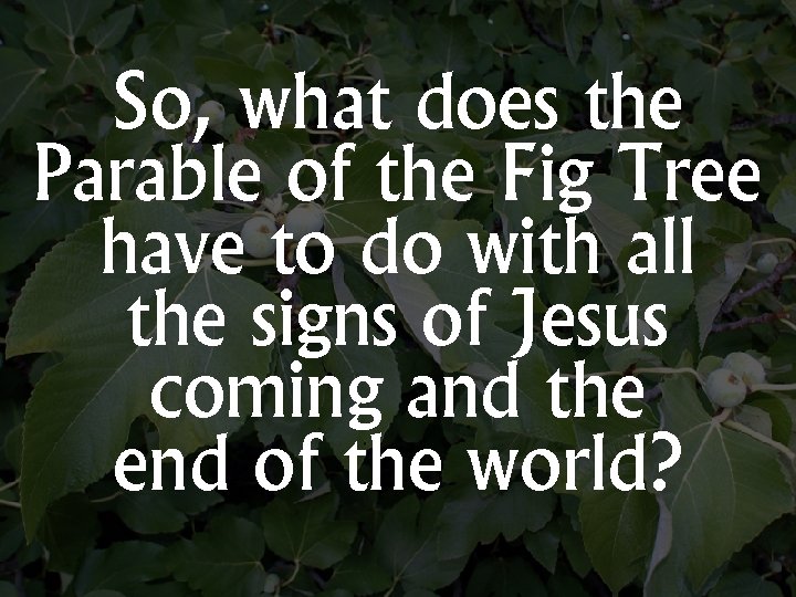 So, what does the Parable of the Fig Tree have to do with all