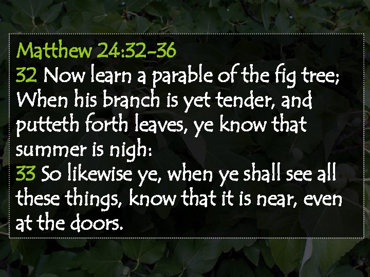 Matthew 24: 32 -36 32 Now learn a parable of the fig tree; When