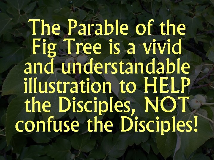 The Parable of the Fig Tree is a vivid and understandable illustration to HELP
