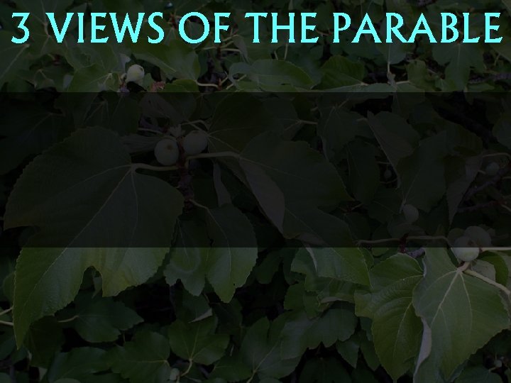 3 VIEWS OF THE PARABLE 