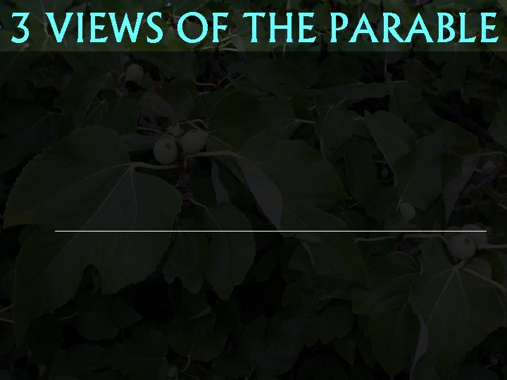 3 VIEWS OF THE PARABLE 