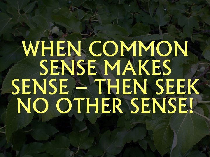 WHEN COMMON SENSE MAKES SENSE – THEN SEEK NO OTHER SENSE! 