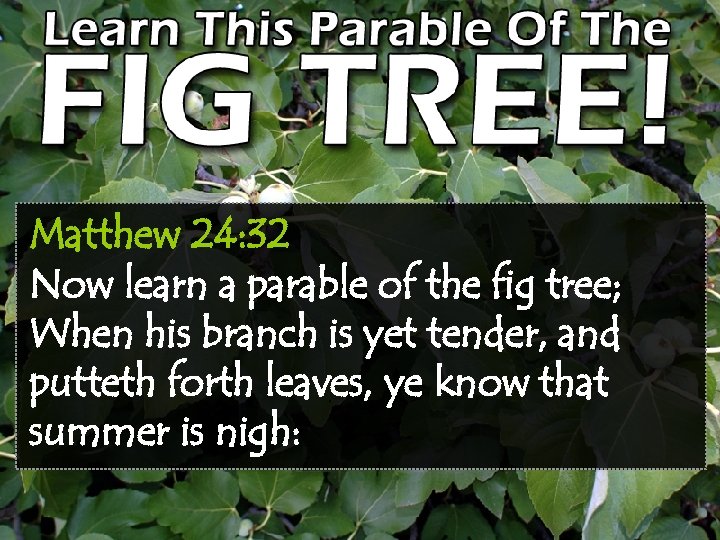 Matthew 24: 32 Now learn a parable of the fig tree; When his branch
