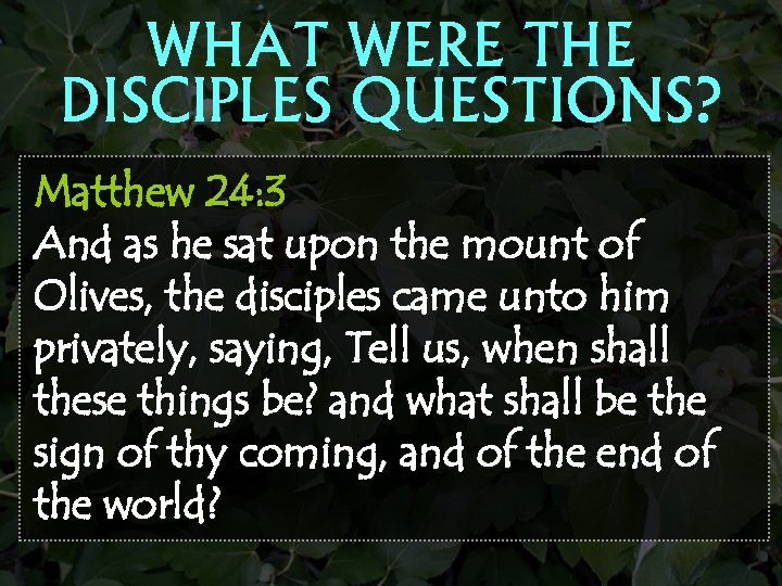 WHAT WERE THE DISCIPLES QUESTIONS? Matthew 24: 3 And as he sat upon the
