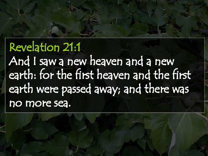 Revelation 21: 1 And I saw a new heaven and a new earth: for