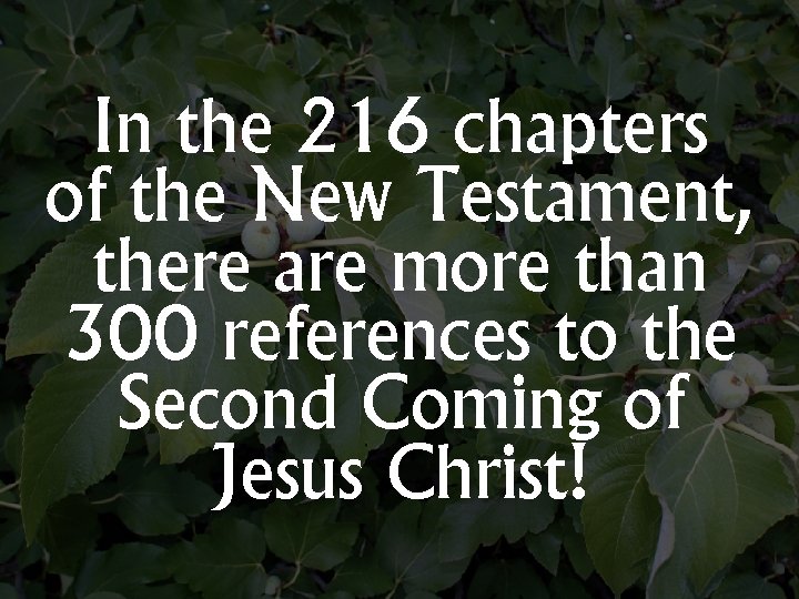 In the 216 chapters of the New Testament, there are more than 300 references