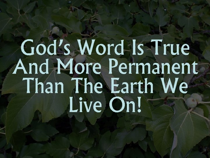 God’s Word Is True And More Permanent Than The Earth We Live On! 