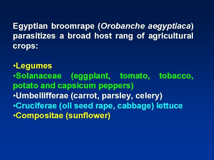 Egyptian broomrape (Orobanche aegyptiaca) parasitizes a broad host rang of agricultural crops: • Legumes