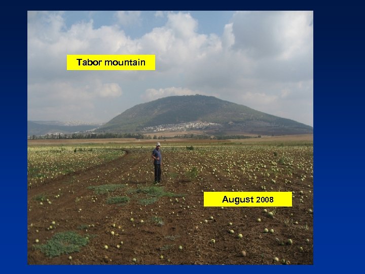 Tabor mountain August 2008 