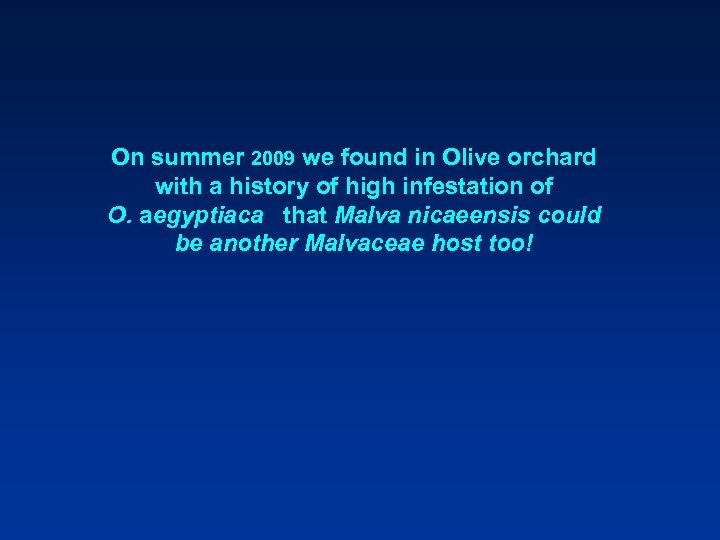 On summer 2009 we found in Olive orchard with a history of high infestation