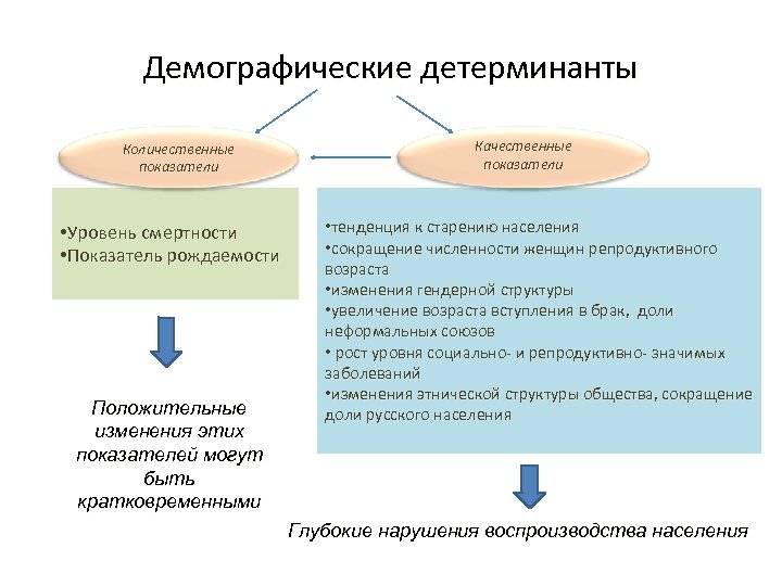 Демография питание. Количественные показатели рождаемости. Что такое количественные и качественные показатели демографические. Детерминант это в демографии. Детерминанты и последствия демографических тенденций.