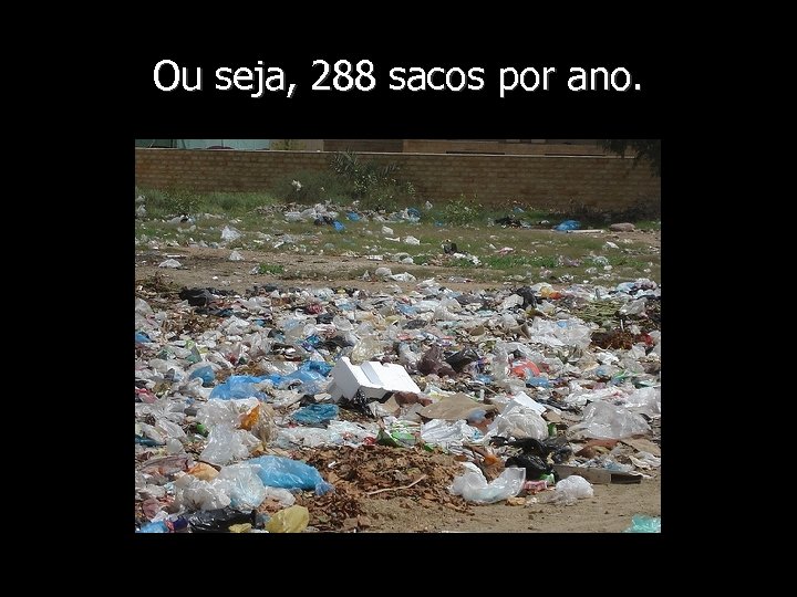 Ou seja, 288 sacos por ano. 