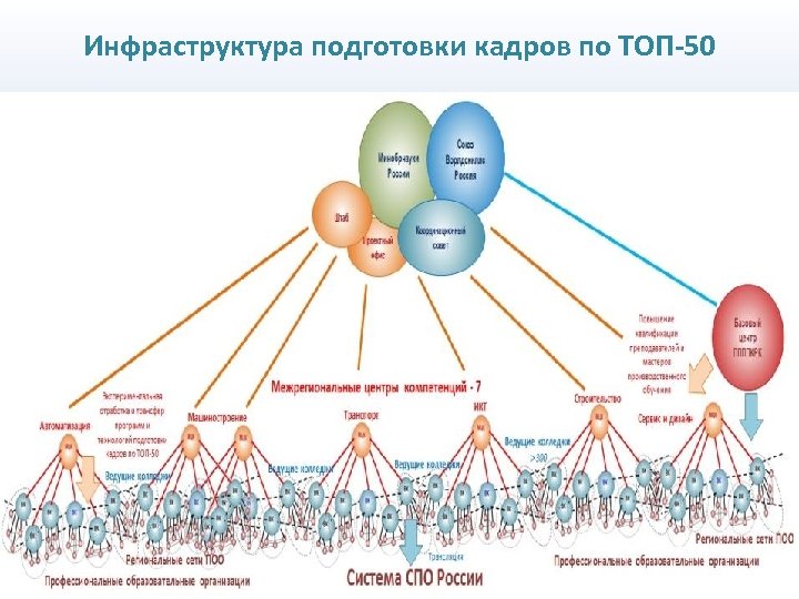 Инфраструктура подготовки кадров по ТОП-50 