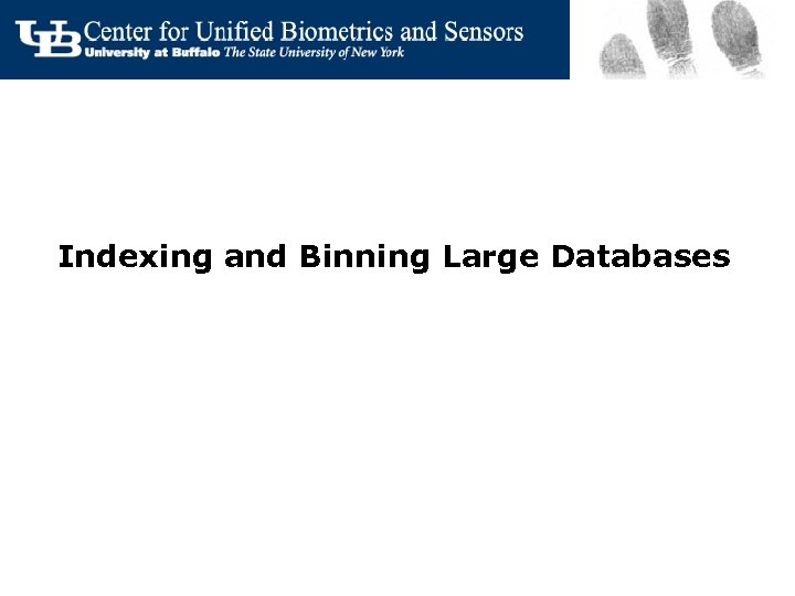 Indexing and Binning Large Databases 