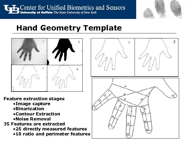 Hand Geometry Template Feature extraction stages • Image capture • Binarization • Contour Extraction