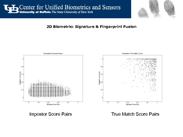 2 D Biometric: Signature & Fingerprint Fusion Impostor Score Pairs True Match Score Pairs