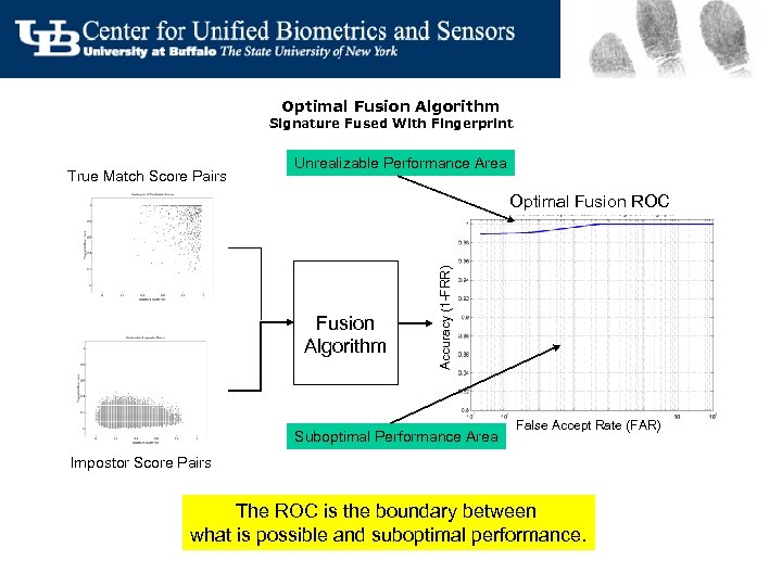 Optimal Fusion Algorithm Signature Fused With Fingerprint True Match Score Pairs Unrealizable Performance Area