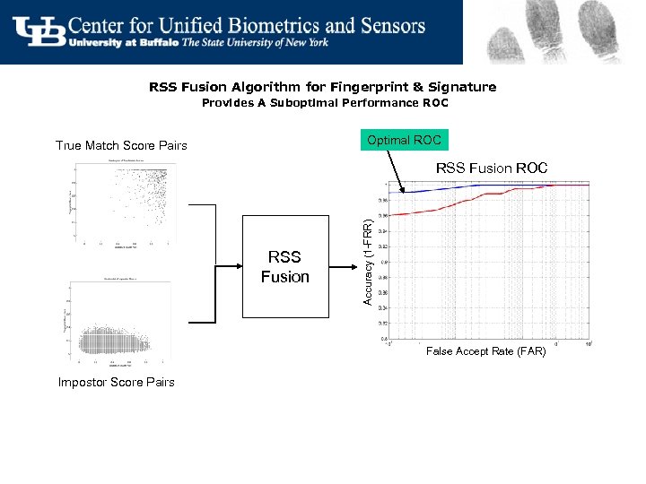 RSS Fusion Algorithm for Fingerprint & Signature Provides A Suboptimal Performance ROC Optimal ROC