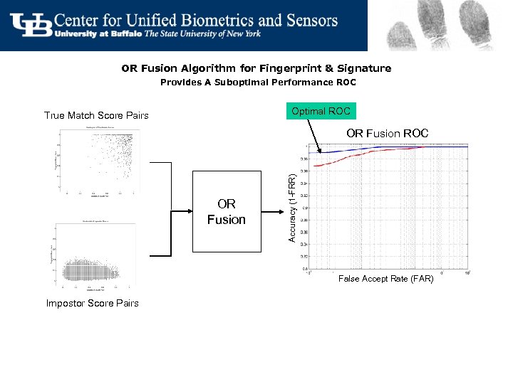 OR Fusion Algorithm for Fingerprint & Signature Provides A Suboptimal Performance ROC Optimal ROC