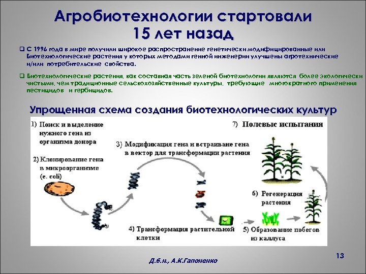 Агробиотехнологии стартовали 15 лет назад q С 1996 года в мире получили широкое распространение