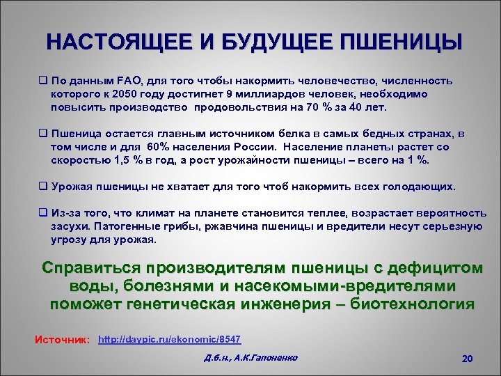 НАСТОЯЩЕЕ И БУДУЩЕЕ ПШЕНИЦЫ q По данным FAO, для того чтобы накормить человечество, численность