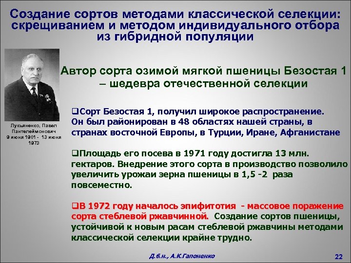 Создание сортов методами классической селекции: скрещиванием и методом индивидуального отбора из гибридной популяции Автор