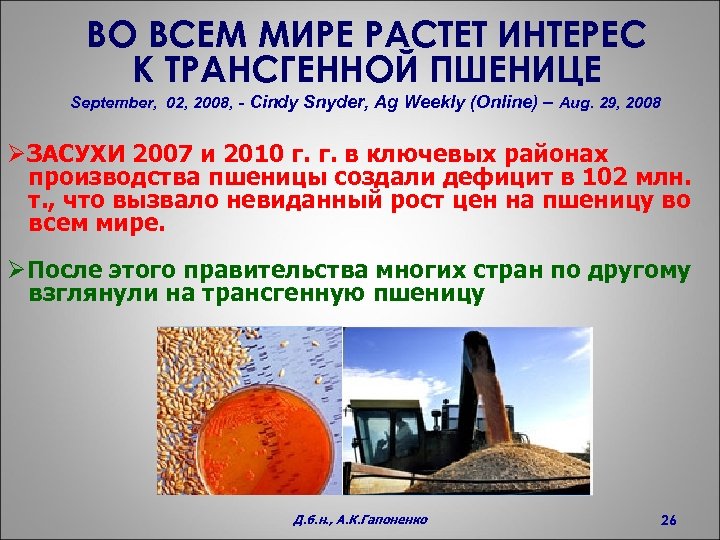ВО ВСЕМ МИРЕ РАСТЕТ ИНТЕРЕС К ТРАНСГЕННОЙ ПШЕНИЦЕ September, 02, 2008, - Cindy Snyder,