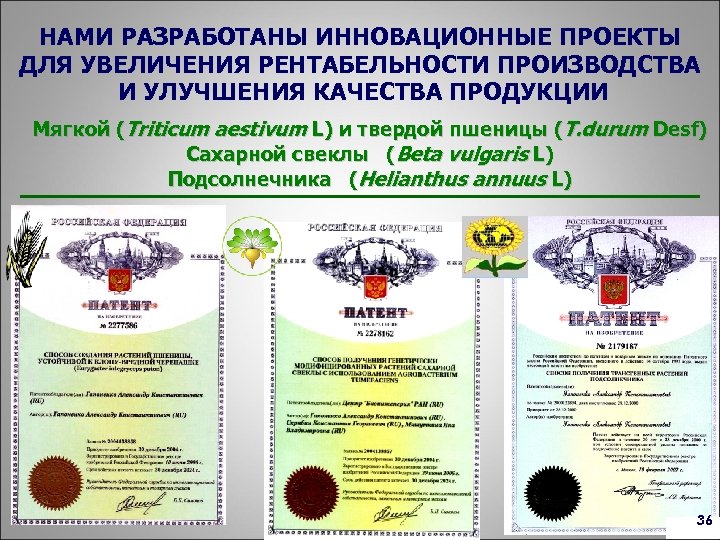 НАМИ РАЗРАБОТАНЫ ИННОВАЦИОННЫЕ ПРОЕКТЫ ДЛЯ УВЕЛИЧЕНИЯ РЕНТАБЕЛЬНОСТИ ПРОИЗВОДСТВА И УЛУЧШЕНИЯ КАЧЕСТВА ПРОДУКЦИИ Мягкой (Triticum